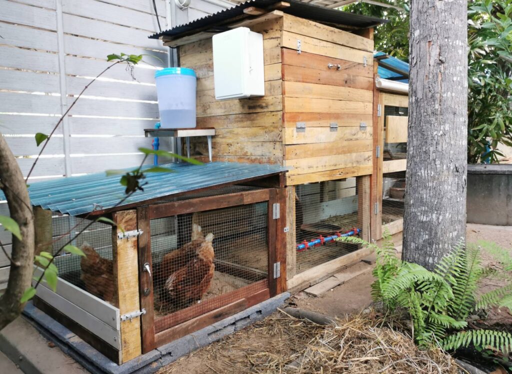How to Build a Chicken Coop for 200 or Less Backyard Poultry